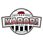 Waterside Karori team flag