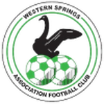 Western Springs team flag