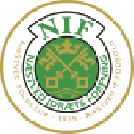 Naestved team flag