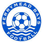 Ferrymead Bays team flag