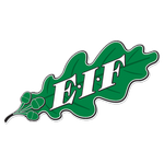 EIF team flag