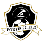 Fortis team flag