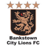 Bankstown City Lions team flag