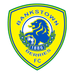Canterbury Bankstown team flag