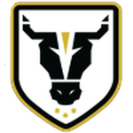 Bulls Academy team flag