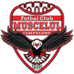Muscelul Câmpulung Elite team flag