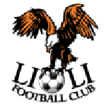 Lioli team flag