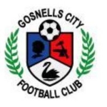 Gosnells City team flag