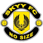 Skyy team flag