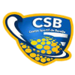 CS Bendje team flag