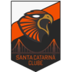 Santa Catarina team flag