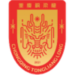 Chongqing Tongliang Long team flag