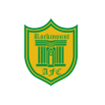 Rockmount team flag