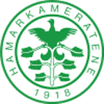 HamKam II team flag
