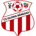 Gloria Băneasa team flag