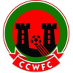 Cork City W team flag