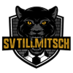 Tillmitsch team flag