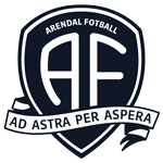 Arendal team flag