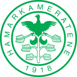 Ham-Kam team flag
