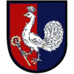 Petřvald na Moravě team flag