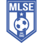 Martfűi LSE team flag