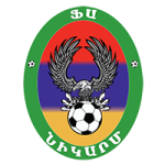 Nikarm team flag