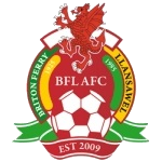 Briton Ferry team flag