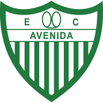 Avenida team flag