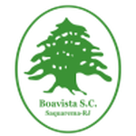 Boavista SC team flag