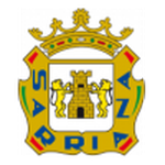 Sarriana team flag