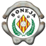 Soneja team flag