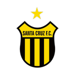 Santa Cruz RN team flag