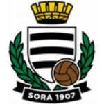 Sora team flag