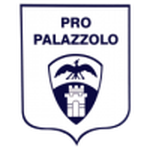 Pro Palazzolo team flag