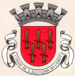 São Salvador team flag