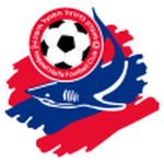 Hapoel Haifa team flag