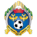 Salisbury United team flag