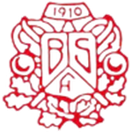 Bjørkelangen team flag