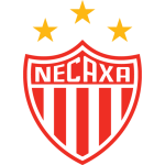 Necaxa team flag