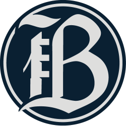 Bay FC team flag