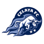 Celaya team flag