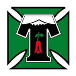 Deportes Temuco team flag