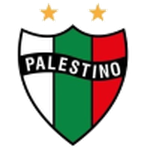 Palestino team flag
