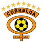 Cobreloa team flag