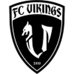 Taipei Vikings team flag