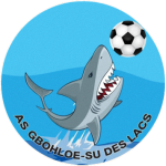 Gbohloé-su des Lacs team flag