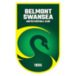 Belmont Swansea team flag