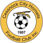 Cessnock City Hornets team flag