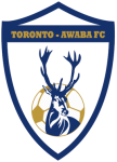 Toronto Awaba Stags team flag