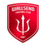Wallsend Red Devils team flag